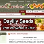 Web Site Design and Development | ecommerce | e-commerce | Blairsville, GA