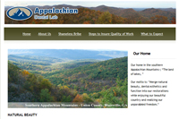 BCO for professional website design and website development